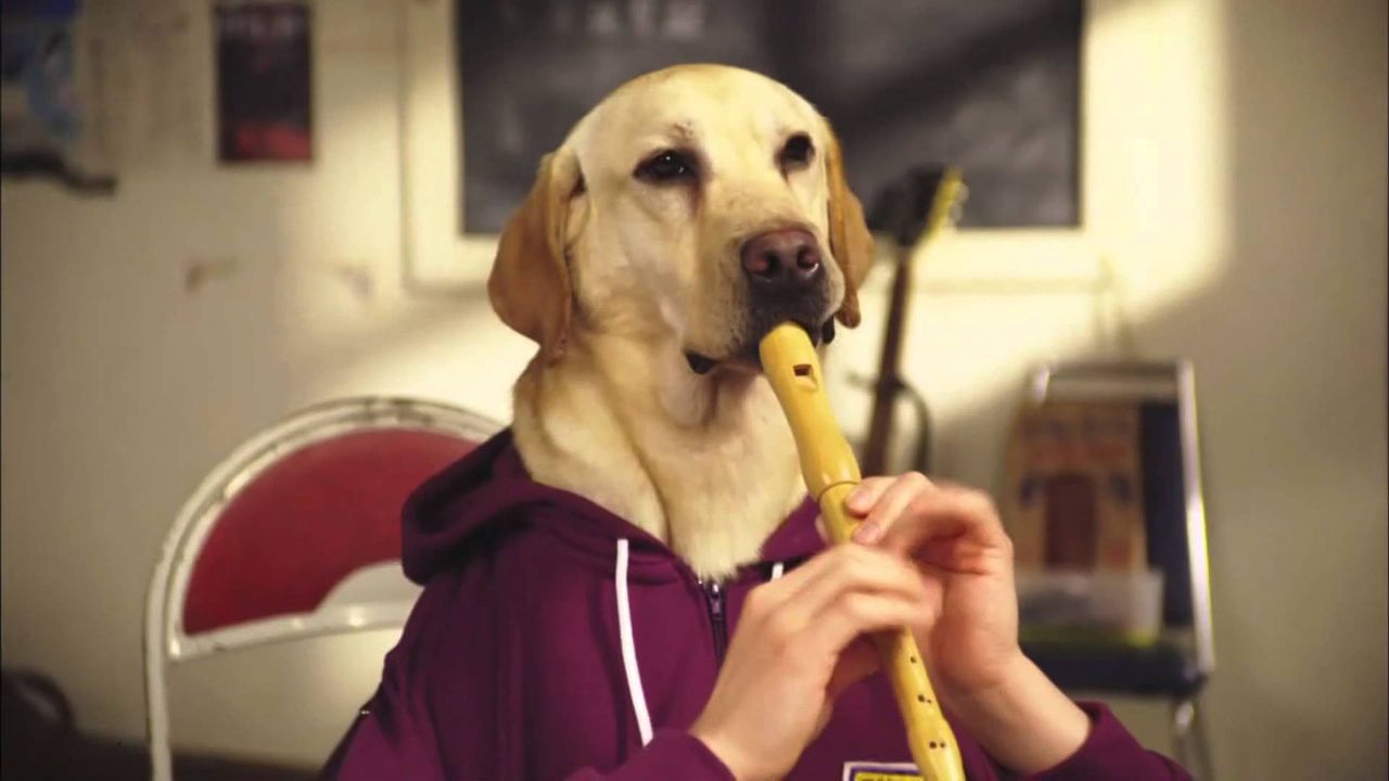 日清紡の犬cm好きだな 全速 いそがしい人の全ジャンルまとめ速報