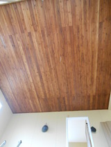 fddc0391.jpg