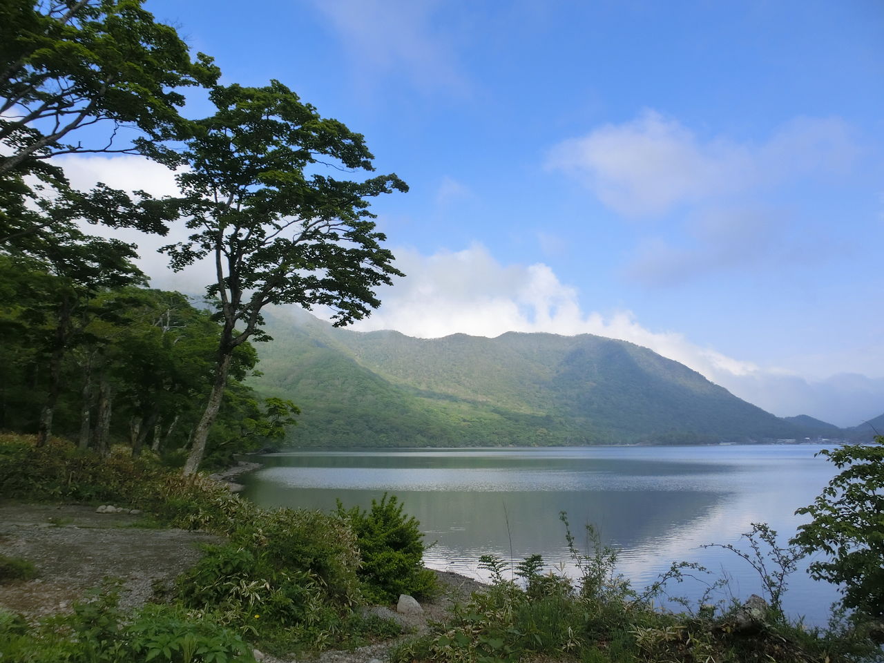 赤城 公園 キャンプ 場