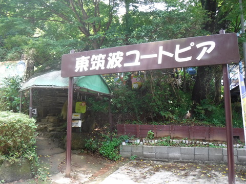DSCF9039