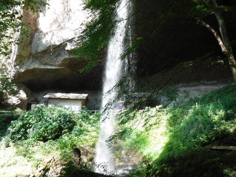 DSCF5334