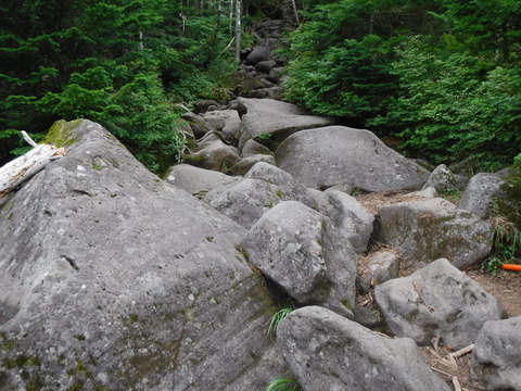 DSCF5453