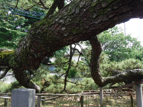 DSCF4480