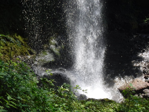 DSCF5341