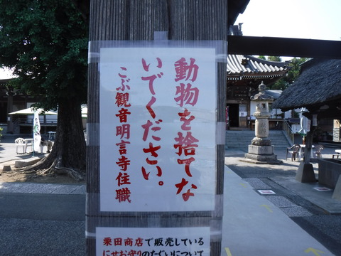 DSCF4703