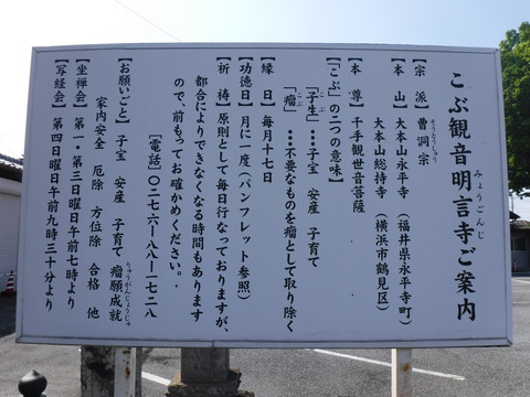 DSCF4698