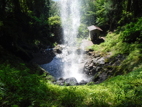 DSCF5338