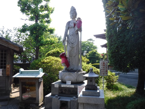 DSCF4714