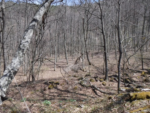 DSCF8571
