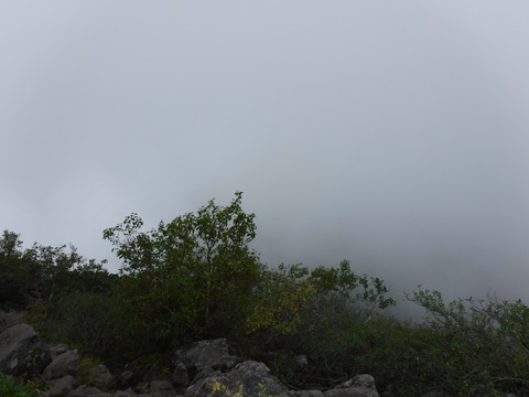 DSCF5477