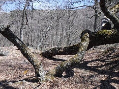 DSCF8565