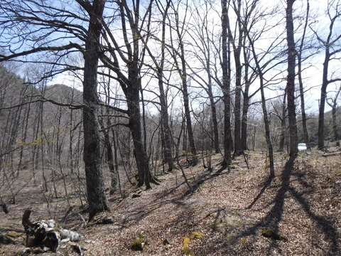 DSCF8570
