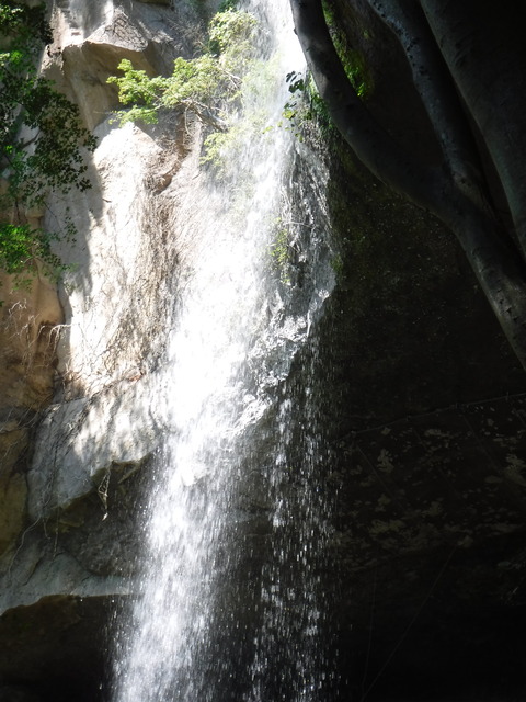 DSCF5336