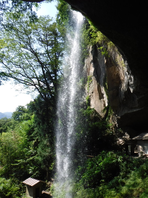 DSCF5337