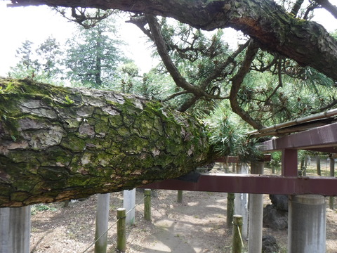 DSCF4473
