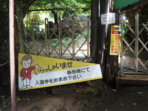 DSCF9041