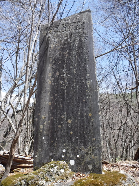DSCF8567