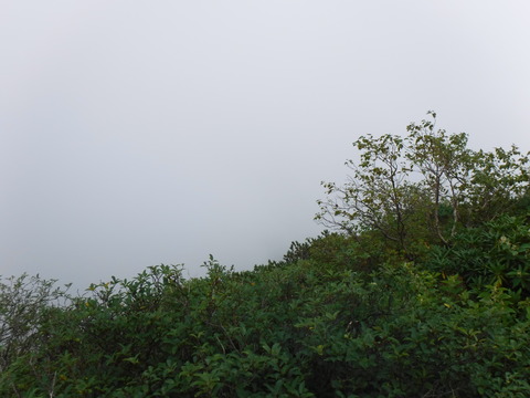 DSCF5478