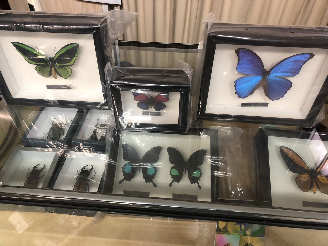 餃子通りでまさかの In 栃木県宇都宮 はぎもんの日記