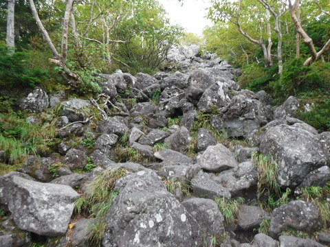 DSCF5471