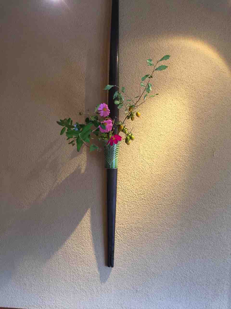 次回の休みは10 7 8になります 紫の花イワシャジンの花言葉は 感謝 誠実 器ギャラリー カフェ 萩の庵 次回の休みは10 7 8になります 紫の花イワシャジンの花言葉は 感謝 誠実 器ギャラリー カフェ 萩の庵