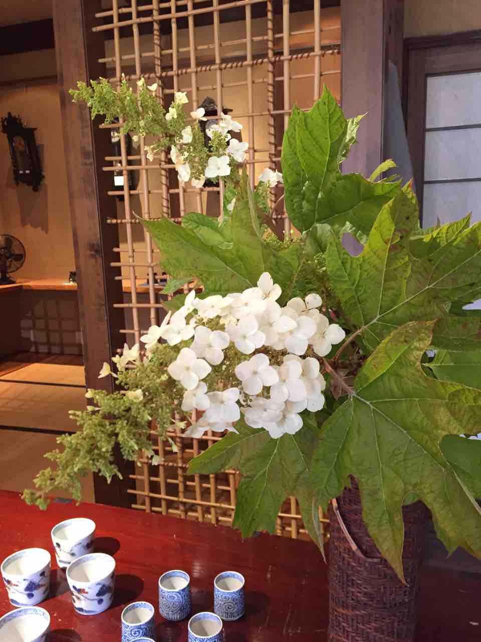 柏葉紫陽花の花言葉 器ギャラリー カフェ 萩の庵 柏葉紫陽花の花言葉 器ギャラリー カフェ 萩の庵