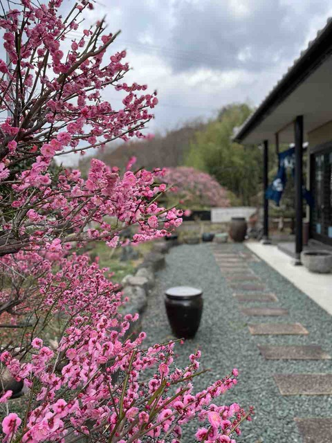 FullSizeRender