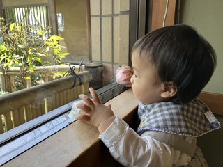 IMG_0475