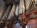 ノートルダム オルガン