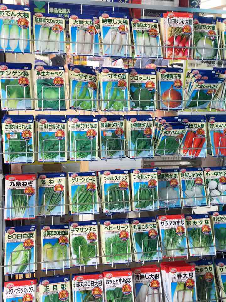 ダイソー大型店舗にて野菜の種購入 初心者の有機農畑と庭仕事奮闘記 時々マラソン