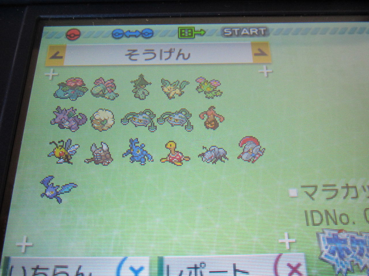 セーブデータ消失後の近況 マラカッチとともに