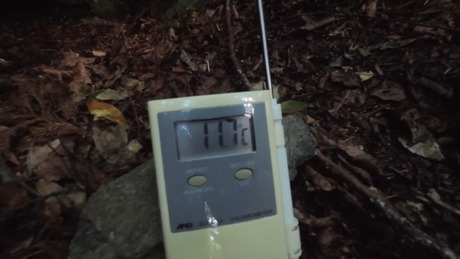 ������ 172614