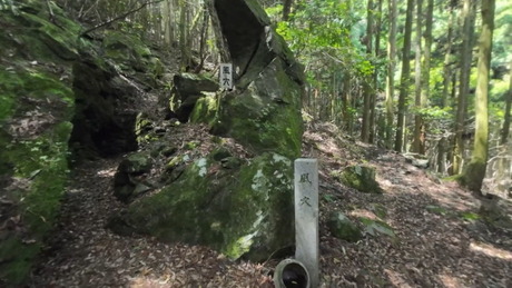 ������ 172613