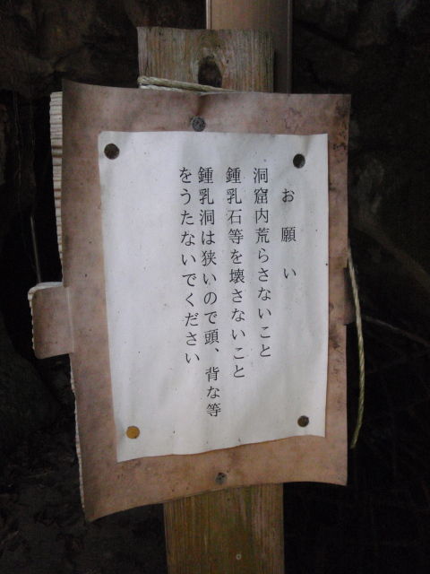 穴神鍾乳洞遺跡 こうちゃんの落し物 穴神鍾乳洞遺跡 こうちゃんの落し物
