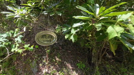 ������ 172612