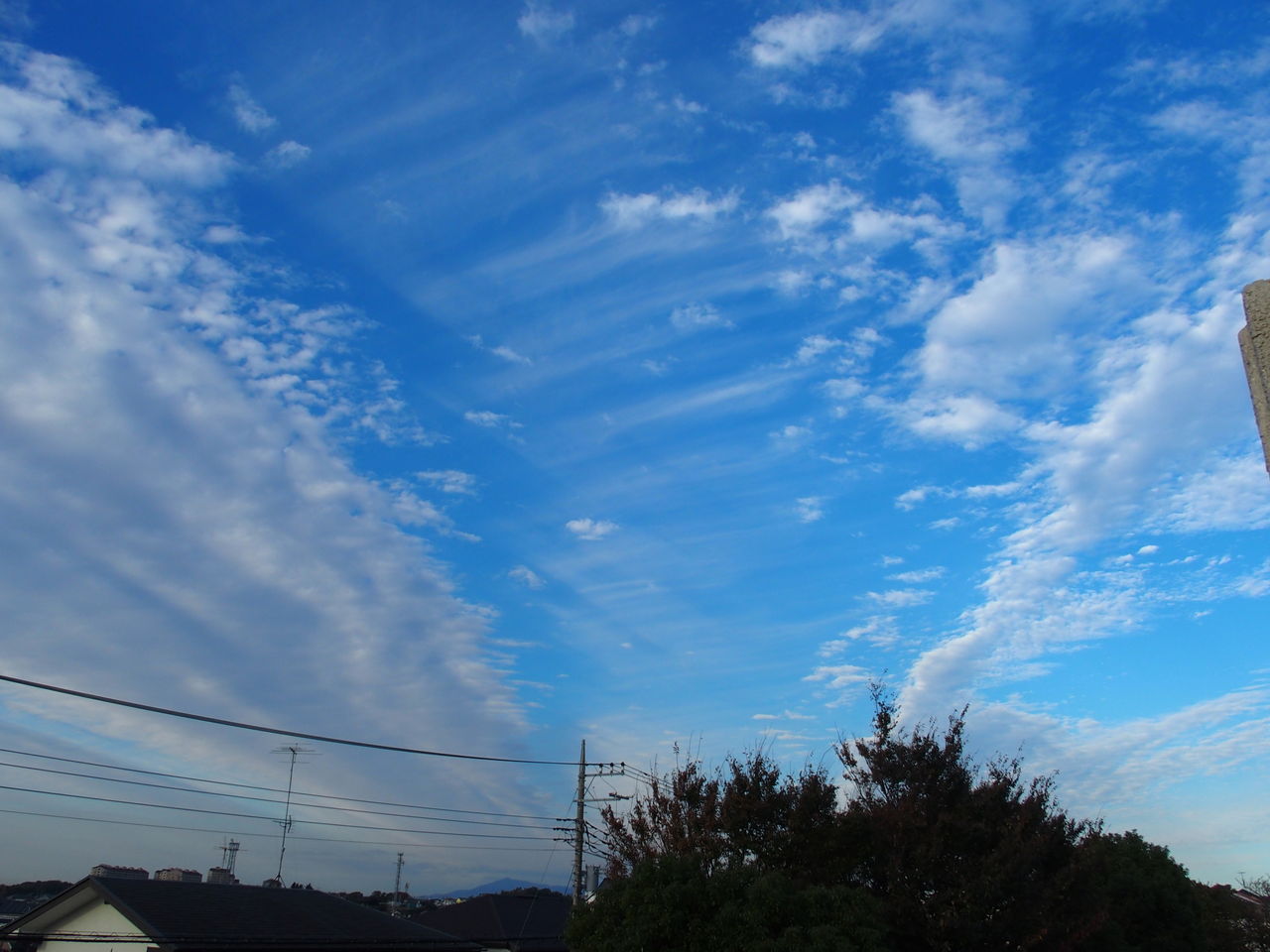 空を見上げて たちつてと 強烈すぎる秋の雲 夕方の帯状雲
