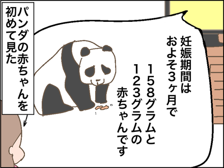 0928パンダ3