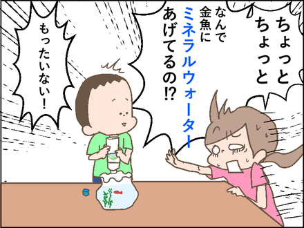 20180911金魚2