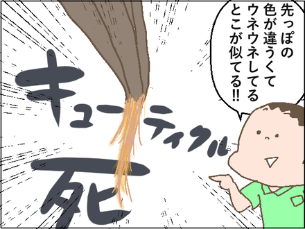 20201005−3