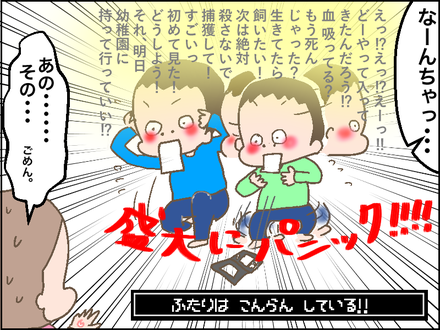 桜海老4