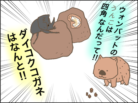 いきもの3