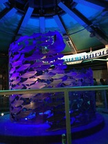 IMG_0973