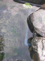 湯原温泉 足湯 岡山 林道温泉バイク旅