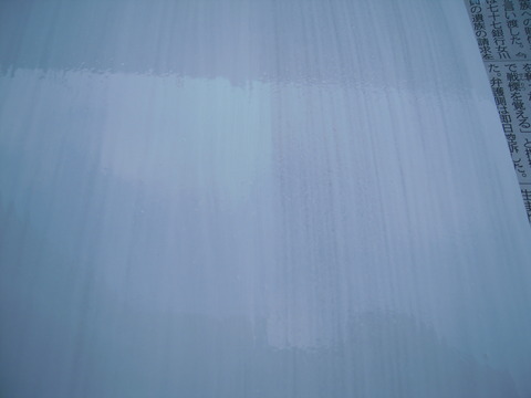 DSCN8152