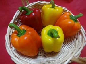 s-DSC04331