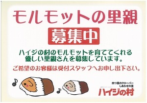 s-img-701170237-0001