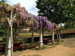 s-image0