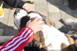 _DSC9280 - コピー