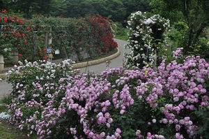 s-_DSC0062 - コピー