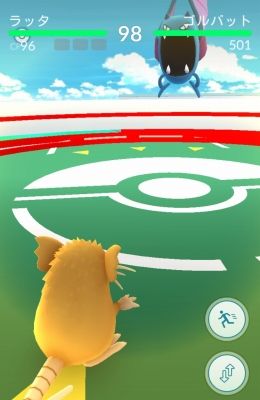 s-16-07-31-16-54-31-022_deco